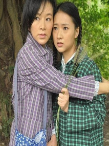 凤凰情剧情介绍
