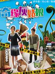 奇缘灰姑娘剧情介绍