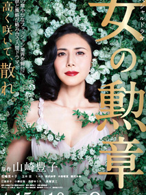 女人的勋章剧情介绍