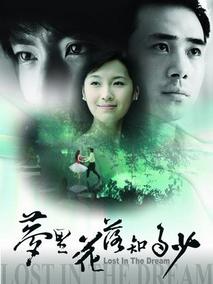 梦里花落知多少剧情介绍