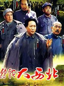 转战大西北剧情介绍