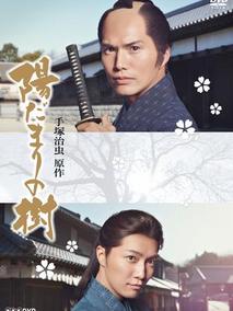 向阳之树剧情介绍