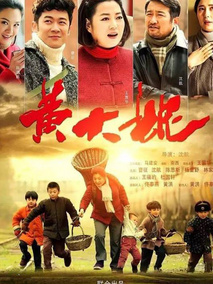 黄大妮剧情介绍