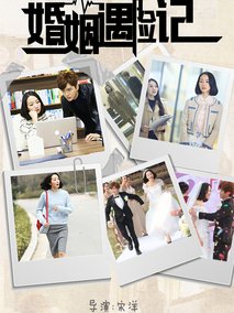 婚姻遇险记剧情介绍