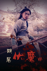 穆飞