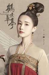 李一桐剧照