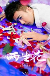 刘恺威剧照