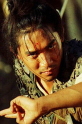 盲武士