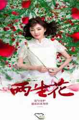王丽坤剧照