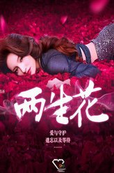 顾璇剧照
