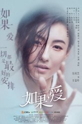 张柏芝剧照