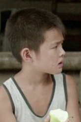 杨晋