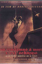 Maurice Beerblock