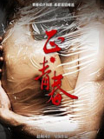 正青春剧情介绍
