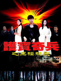 护宝奇兵之黑楼魅影剧情介绍