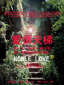 爱情天梯剧情介绍
