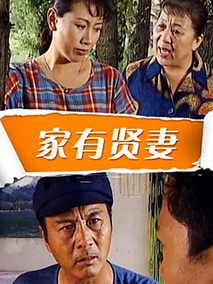家有贤妻剧情介绍