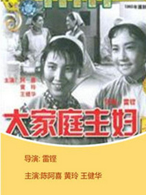 大家庭的主妇剧情介绍