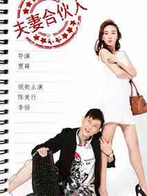 夫妻合伙人剧情介绍