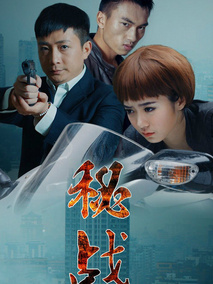 秘战剧情介绍