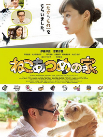猫咪后院之家剧情介绍