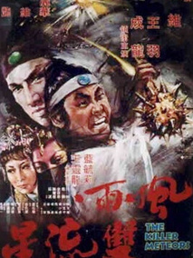 风雨双流星剧情介绍