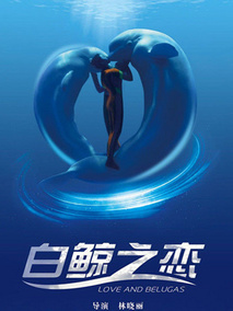 白鲸之恋剧情介绍