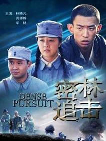密林追击剧情介绍