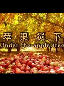 苹果树下剧情介绍