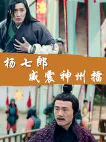 杨七郎威震神州擂剧情介绍