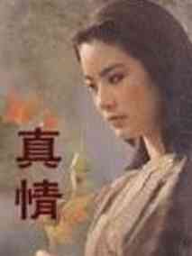 真情