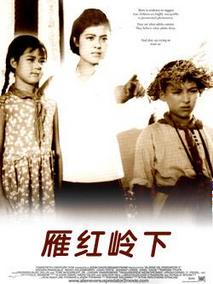 雁鸿岭下剧情介绍