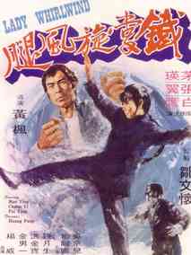 铁掌旋风腿剧情介绍