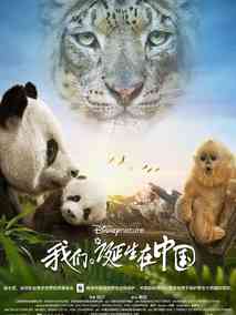 我们诞生在中国剧情介绍