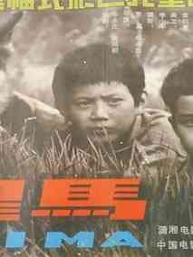 黑马剧情介绍
