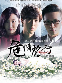 危情旅行剧情介绍