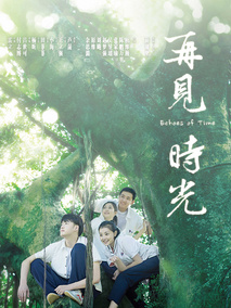 再见时光剧情介绍
