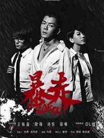 暴走剧情介绍