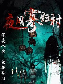 夜闯寡妇村剧情介绍