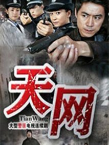 天网剧情介绍