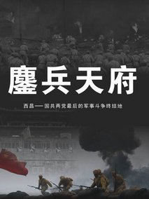 鏖兵天府剧情介绍