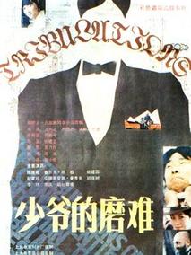 少爷的磨难