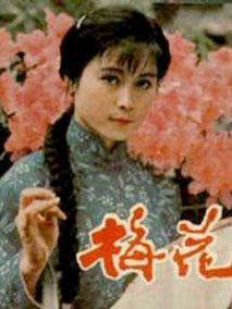 梅花巾剧情介绍