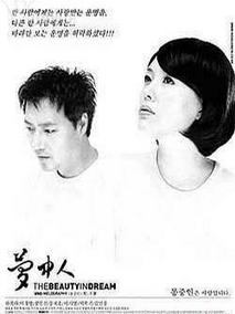 梦中人剧情介绍