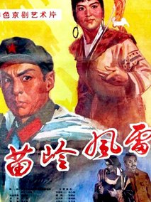 苗岭风雷剧情介绍