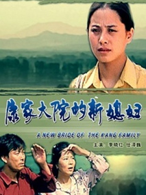 康家大院的新媳妇剧情介绍