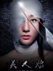 美人脸剧情介绍