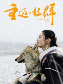 重返·狼群剧情介绍