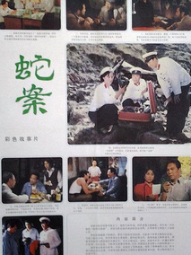 蛇案剧情介绍