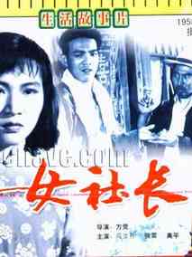 女社长剧情介绍